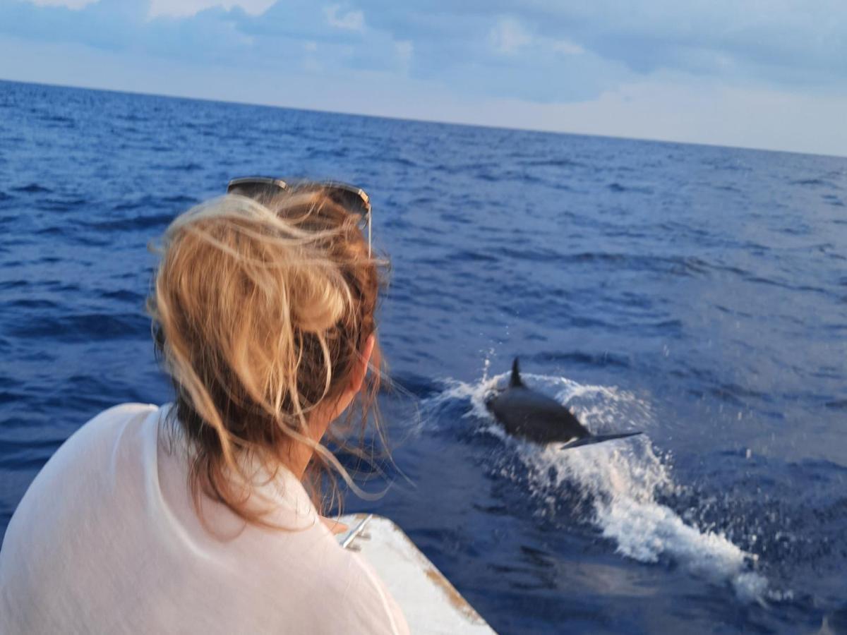 Dhooni Finolhu Guesthouse Maalhos  Dış mekan fotoğraf