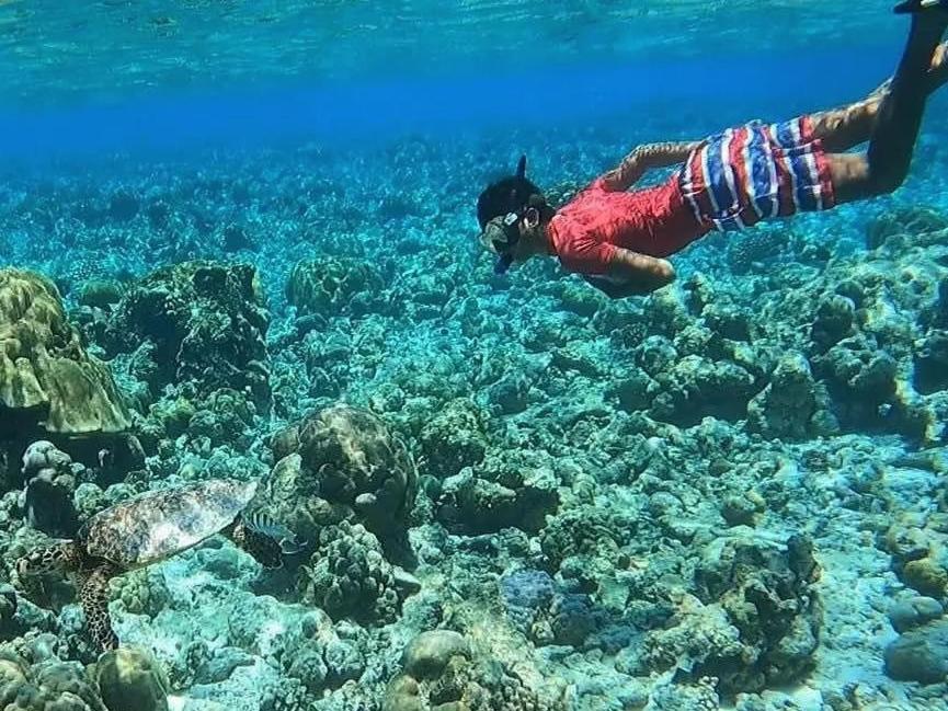 Dhooni Finolhu Guesthouse Maalhos  Oda fotoğraf